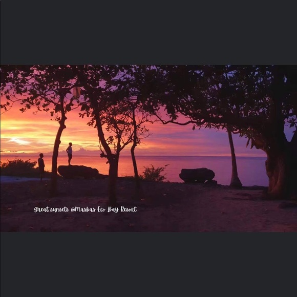 Meet your Posher, Pamy - Picture 1 of 2